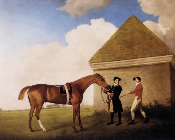 Stubbs. Eclipse. 1770. '' It was at this race on May 3, 1769 that the flamboyant Captain Denis O'Kelly made his bet in the form of the quip, "Eclipse first, the rest nowhere." In 1769, a horse that was more than 240 yards behind the winner was said to be "distanced", or nowhere. O'Kelley won his bet and became a part owner of Eclipse. Eclipse won 18 races in his career without ever being whipped or spurred. Eclipse retired to stud and sired three of the first five Derby winners including the noted Pot-8-O's. Eclipse's many distinguished descendants are the reason for the predominance of his great-great-grandfather the Darley Arabian's line over the lines of the other two Foundation stallions. 80 percent of all Thoroughbreds today can trace their ancestry back to Eclipse.  ''