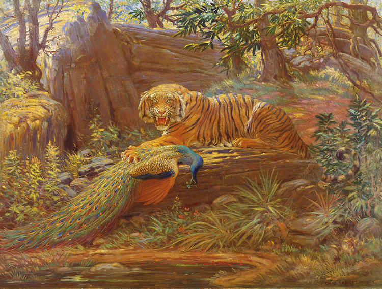 Knight’s favorite painting, the tiger and peacock, which he refused to part with during his lifetime, is now being offered by an art gallery. © Rhoda Knight Kalt---click image for source...